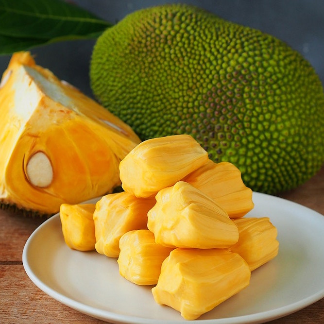 1731072694-what-is-jackfruit