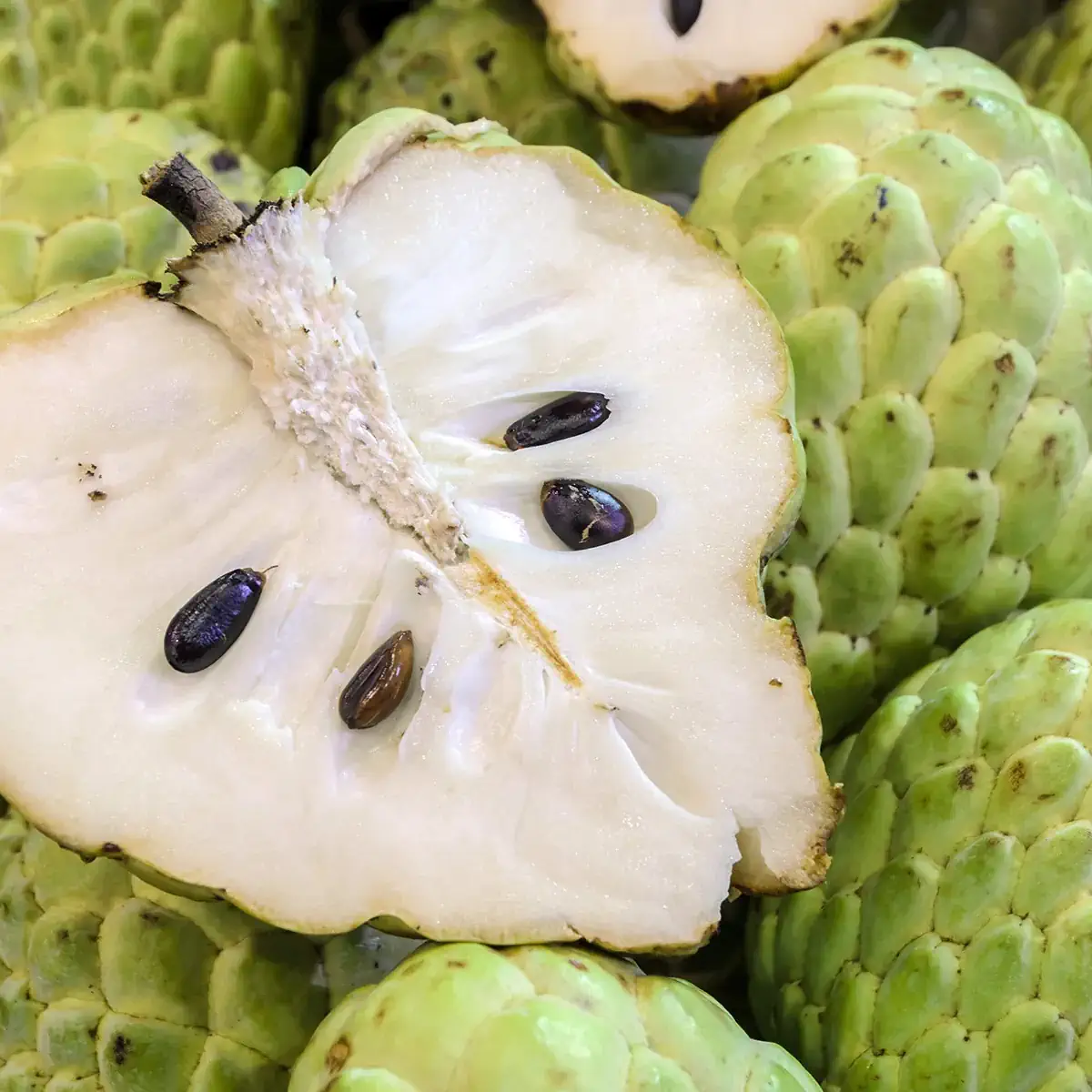 1800x1200_health_benefits_of_cherimoya_bigbead_alt