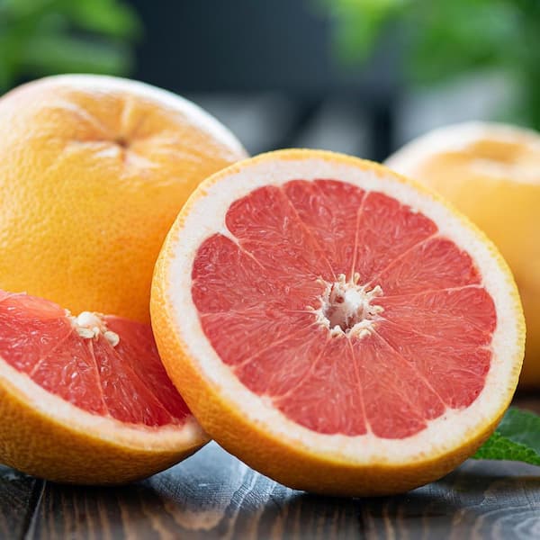 651f4021d58d4f694c713526-5-container-star-ruby-grapefruit
