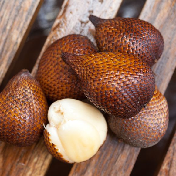 75fd9e65628496a208_Snakefruit_Alamy