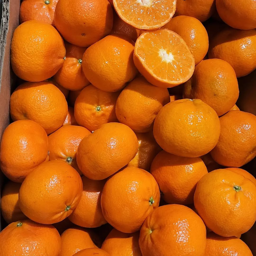 Amazing Quality Of Tango Mandarins Just Arrived. #zestfruit