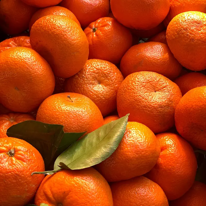 Mandarin-Afourer-2