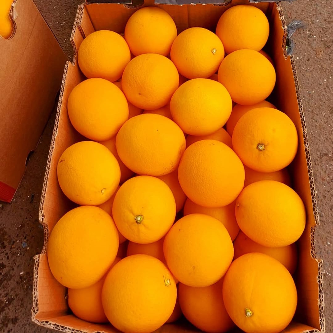 MidKnight Oranges