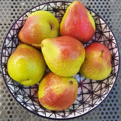 Pear-Forelle-ZA-bowl-20200509_143736-cr-sq-400×400-1