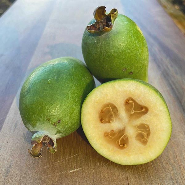 Pineapple-Guava-2