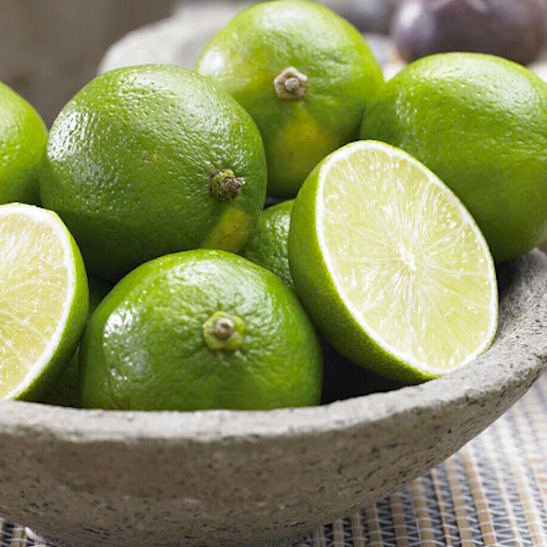 citrus-latifolia-bearss-lime-persian-lime-tree