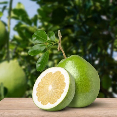 istockphoto-1398765546-612×612