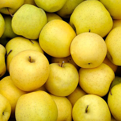 yellow apples at the greengrocer on a farmers market